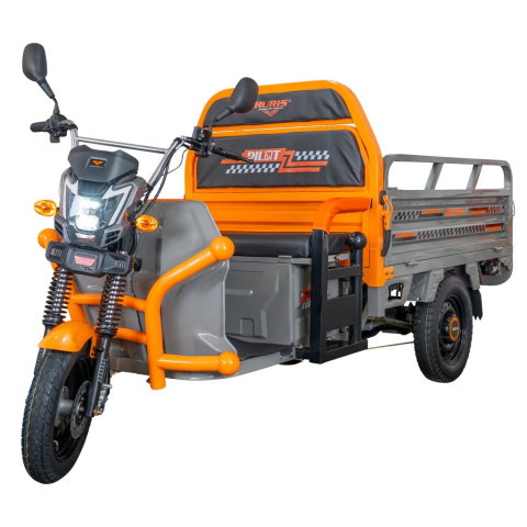 Triciclu electric cargo RURIS Pilot 3120G GRI 2000W, autonomie pana la 70 km, bena basculabila, reductor forta, CIV inclus [2]