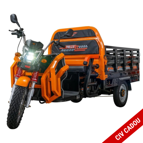 Tricicluri electrice - Triciclu electric cargo RURIS Pilot 3130N NEGRU, 3600W