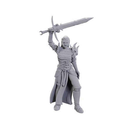 Miniaturi RPG - Blackguard - D&D Nolzur's Marvelous Miniatures