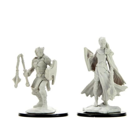 Miniaturi RPG - Kalashtar Cleric Female - D&D Nolzur's Marvelous Miniatures
