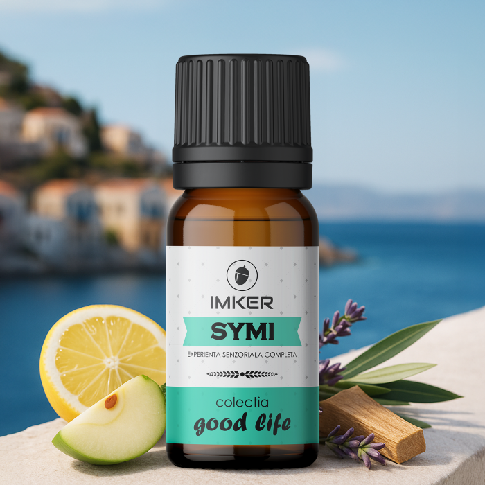 room_car_perfume_SYMI [1]