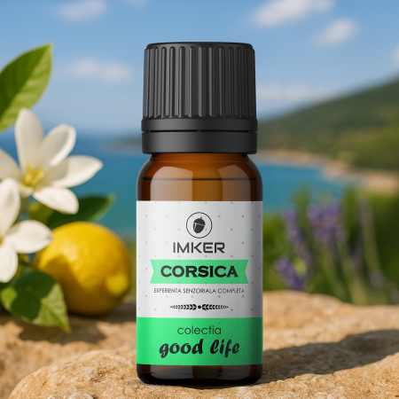 room_car_perfume_CORSICA