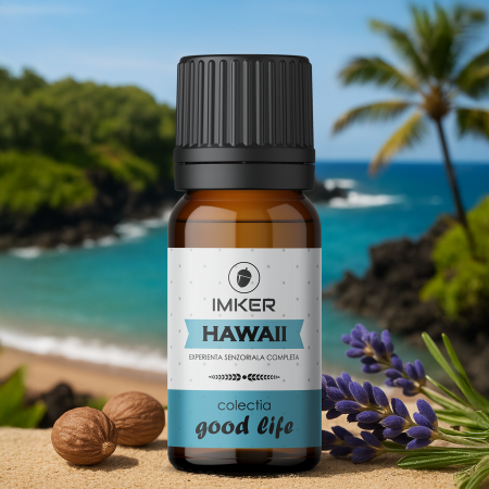 OUTLET - room_car_perfume_HAWAII