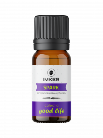 parfum_camera_auto_SPARK [2]