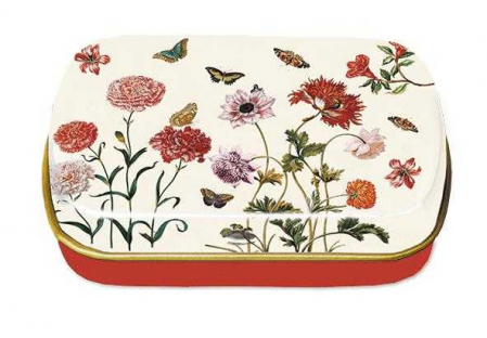 Jucării copii 5-6 ani - Cutiuta metalica M. Sibylla, Merian