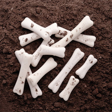 Jocuri cu dinozauri - Set descoperire Oase Dinozauri