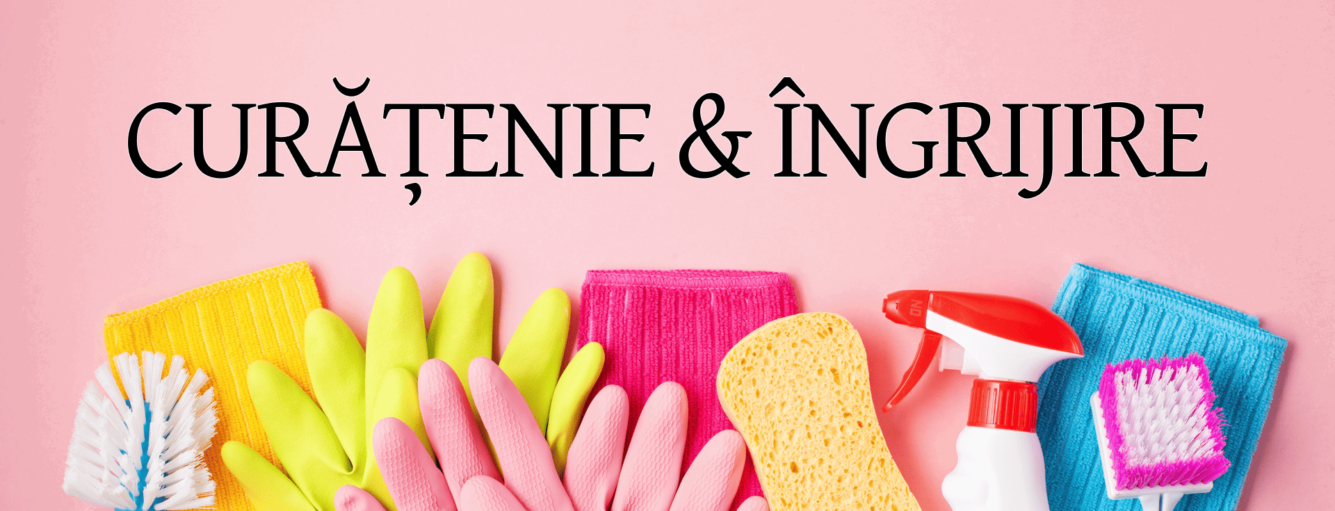 Curatenie & Intretinere DESK