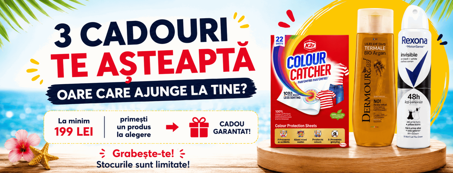 Campanie vara