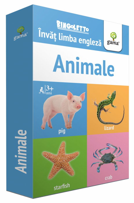 Animale. Invatam limba englez. Colectia Bingoletto [1]