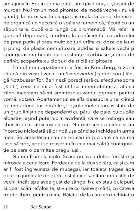 Berlin. Un dusman in oras de Bea Setton [3]