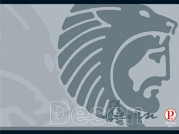 CAIET DESEN 16 FILE - PIGNA [1]