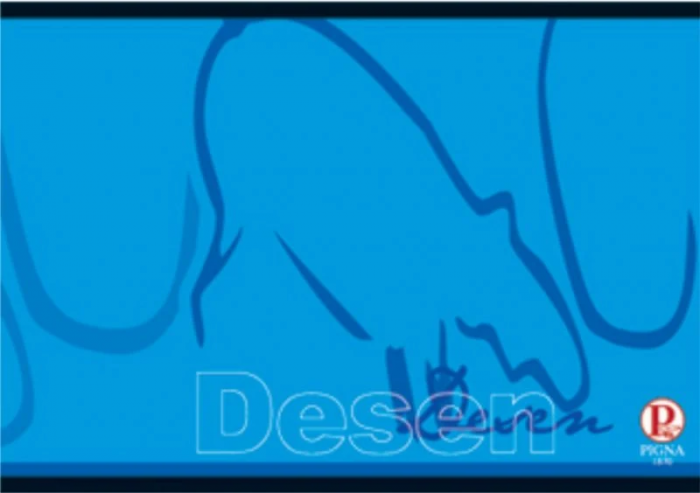 CAIET DESEN 16 FILE - PIGNA [1]