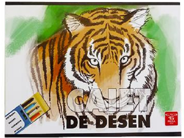 CAIET DESEN 16 FILE [1]