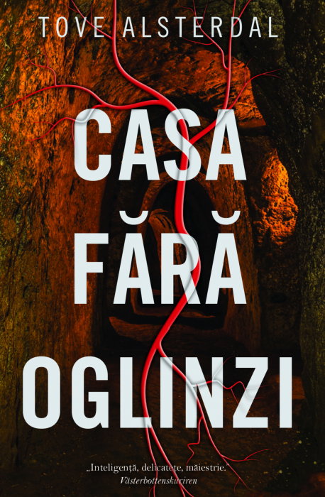 Casa fara oglinzi [1]