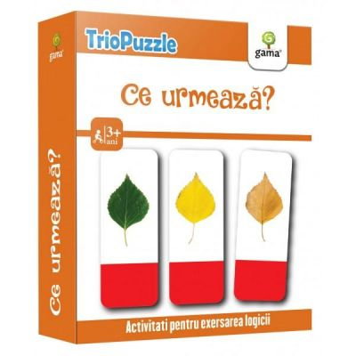 Ce urmeaza? TrioPuzzle [1]