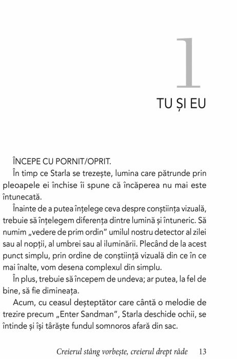 Creierul stang vorbeste, creierul drept rade [8]