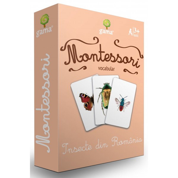 Insecte din Romania. Vocabular. Carti de joc Montessori [1]