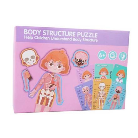Puzzle din lemn, Anatomia Corpul uman fete [1]