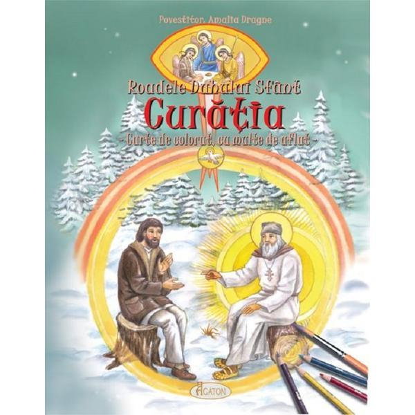 Roadele Duhului Sfant Curatia [1]