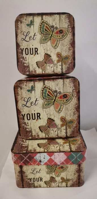 Set 3 cutii fluturi [1]