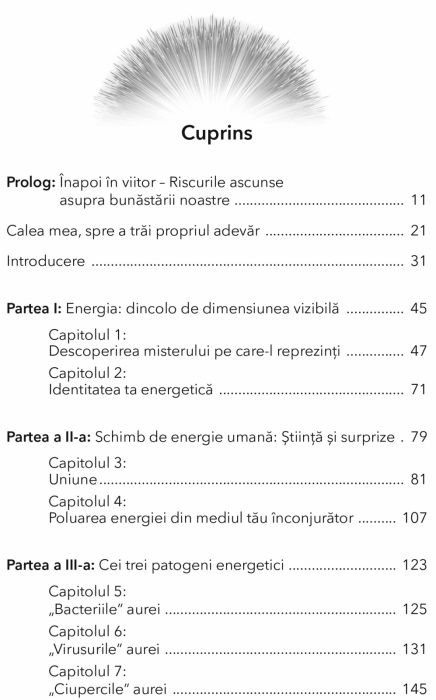Stapaneste-ti propria energie. Dezvolta-ti imunitatea la energia toxica si mentine-ti forta de viata autentica [2]