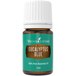 Ulei Esential EUCALYPTUS BLUE 5 ml [1]