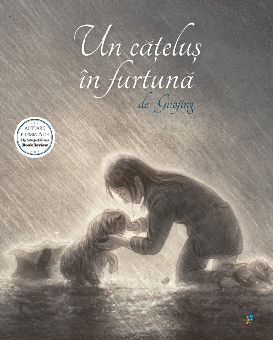 Un catelus in furtuna [1]