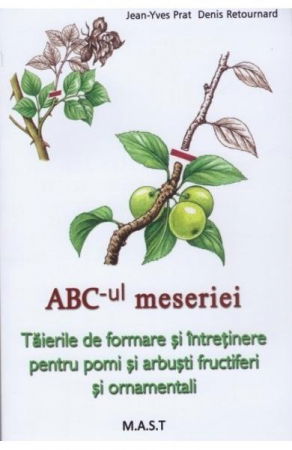 Hobby Practic - Abc-ul meseriei de Jean-Yves Prat