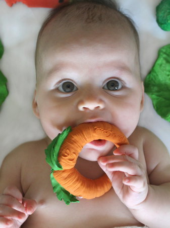 Morcovelul Cathy, jucarie pentru dentitie [1]