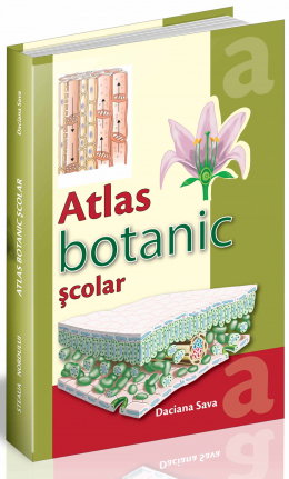 Carti pentru copii - ATLAS BOTANIC SCOLAR de Daciana Sava
