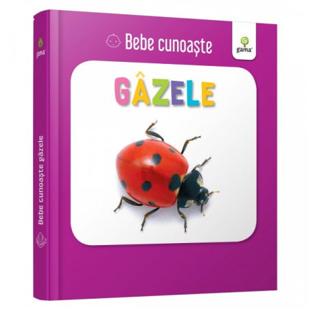 Carti pentru copii - BEBE CUNOASTE - Gazele