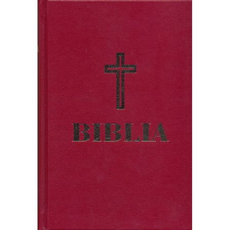 Religie - Biblia gold