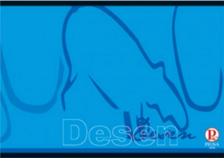 Blocuri de desen - CAIET DESEN 16 FILE - PIGNA