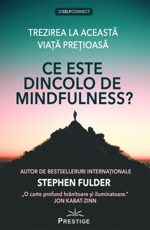 SelfConnect - Ce este dincolo de Mindfulness? de Stephen Fulder