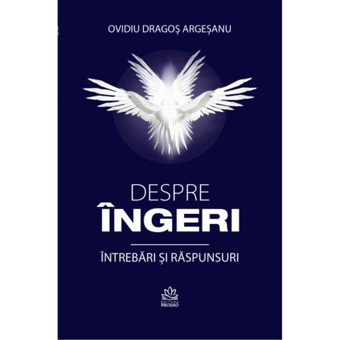 Non-fictiune - Despre Ingeri. Intrebari Si Raspunsuri