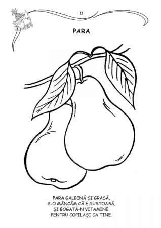 Fructele - carte de colorat [1]