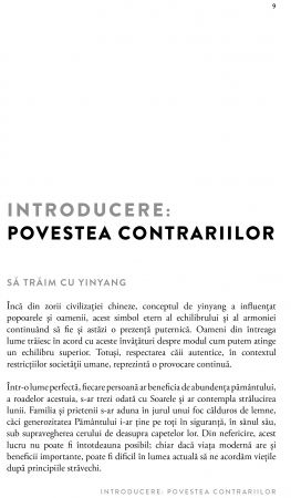 Ghidul suprem Yin Yang de Antony Cummins [2]