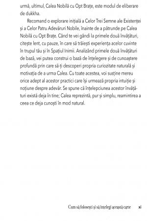 Invataturile lui Buddha pentru Incepatori de Emily Griffith Burke [6]