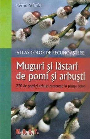 Hobby Practic - Muguri si lastari de pomi si arbusti de Bernd Schulz