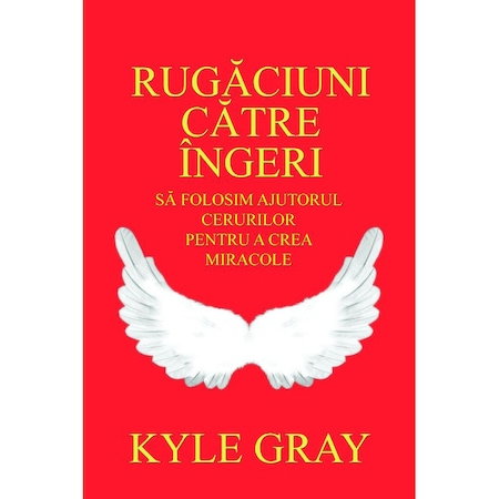 Librarie - Rugaciuni catre ingeri de Kyle Gray