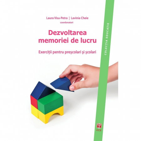 Set dezvoltarea memoriei de lucru de Lavinia Cheie [4]