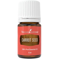 Relaxare - Ulei Esential CARROT SEED 5 ml