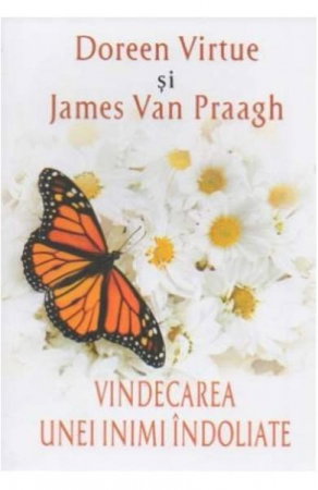 Vindecarea Unei Inimi Indoliate de Doreen Virtue, James Van Praagh [1]