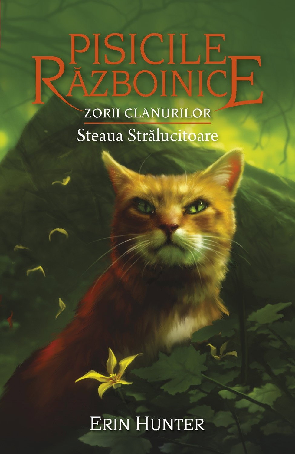 Pisicile razboinice Vol.28: Steaua stralucitoare