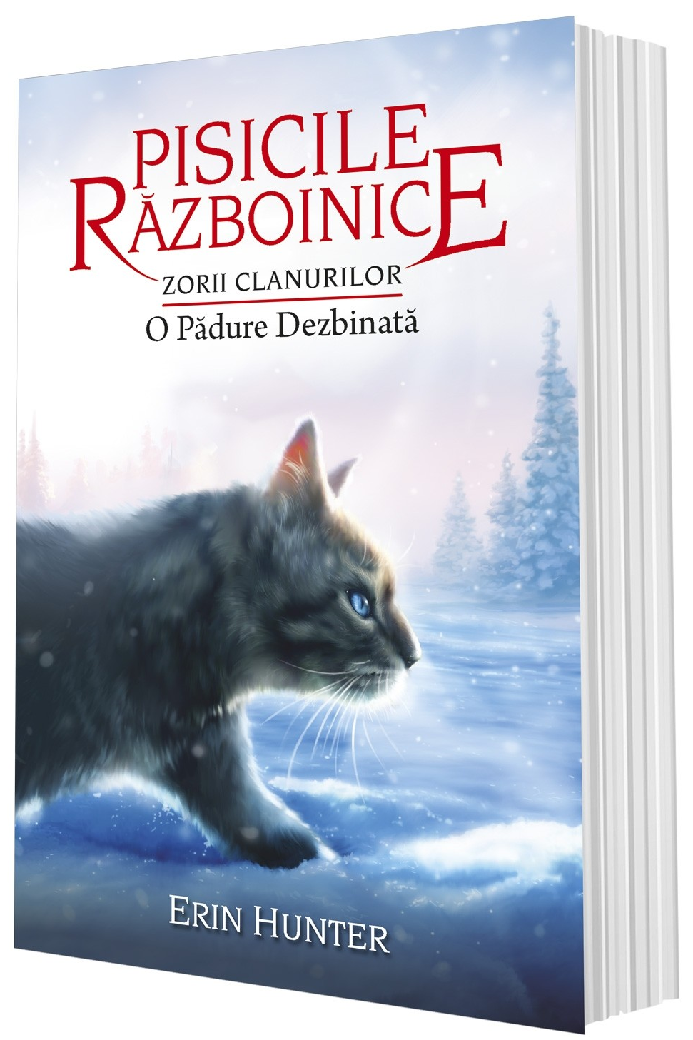 Pisicile razboinice Vol.29: O padure dezbinata