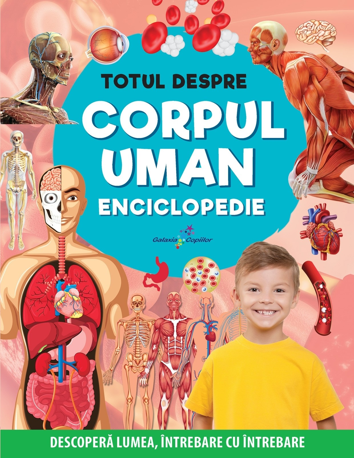 Totul despre corpul uman. Enciclopedie. Descopera lumea, intrebare cu intrebare