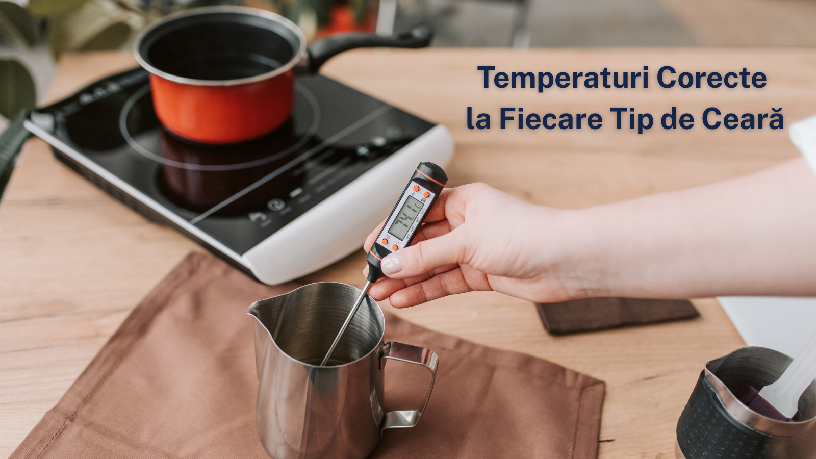 Temperaturile Servus 2025