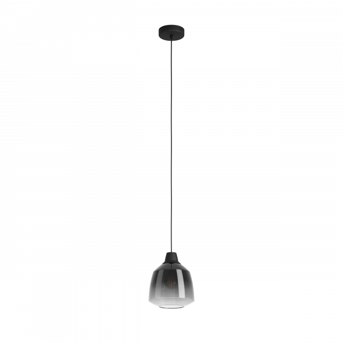 Pendul EGLO Sedbergh E27 1x40W  lm Metal Black IP20 [1]