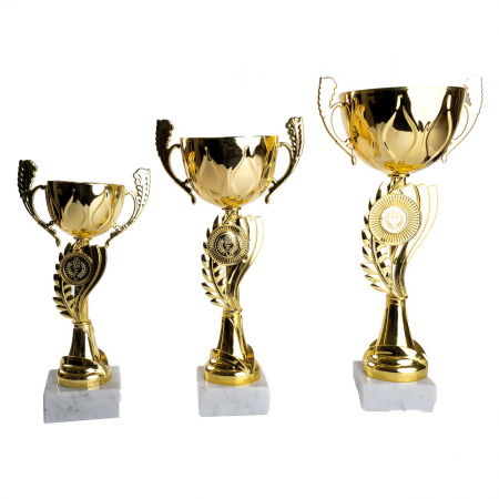 Cupe si trofee - Cupa MS 21