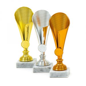 Cupe si trofee - Cupa MS07